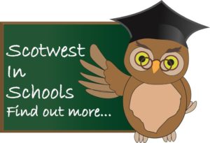 Scoptwest In Schools Owl