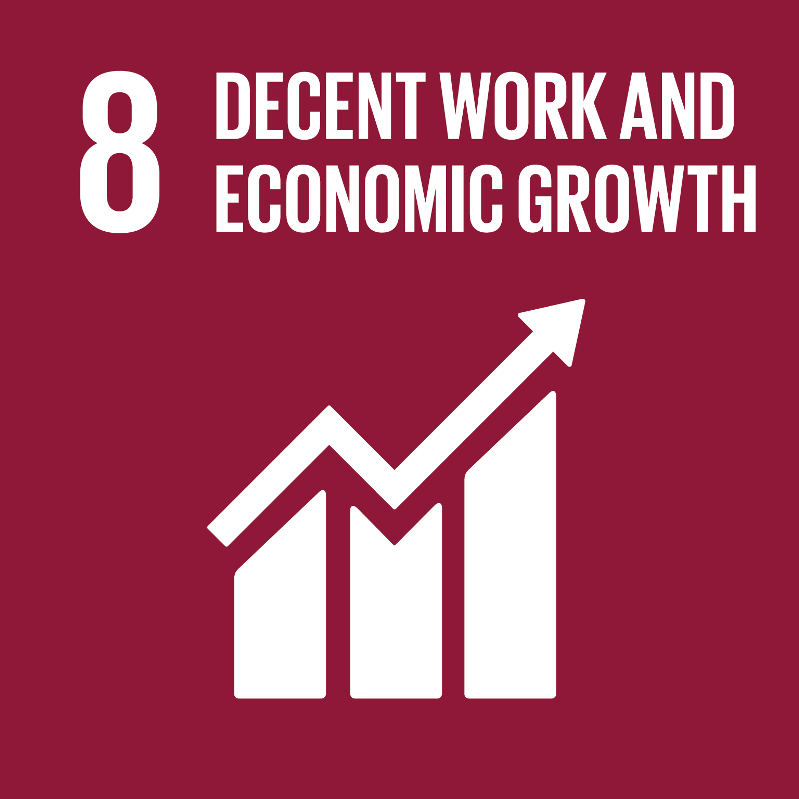 Sustainability Development Goal 8 Decent Work and Economic Growth