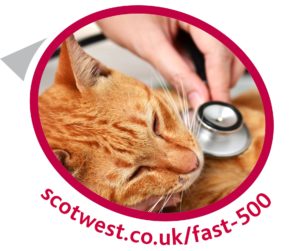Link to Fast 500 Unsecured Loan page